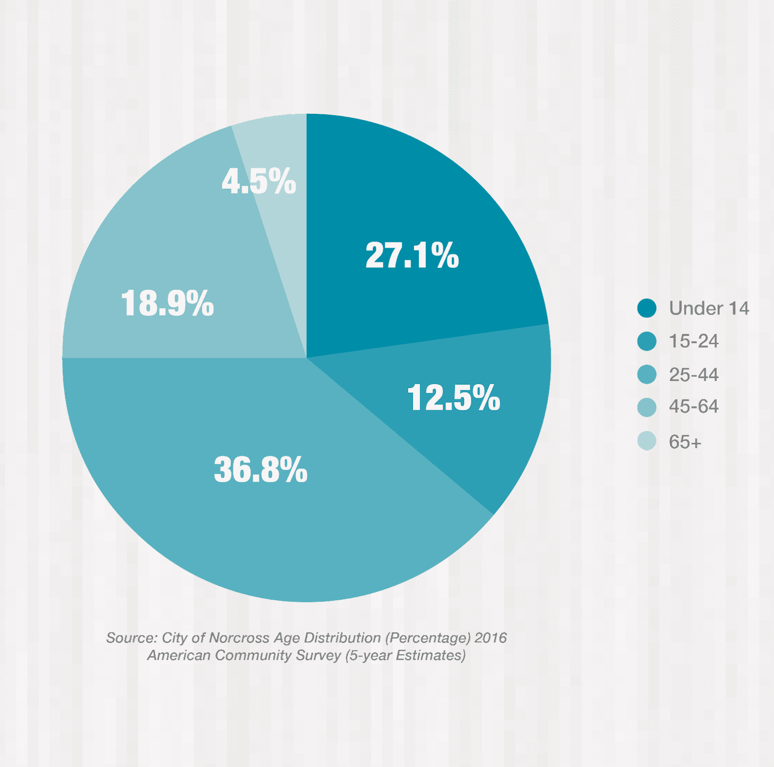 norcross age demographics 2016 pie chart