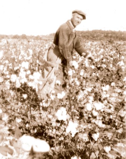 Ben Scott picking cotton